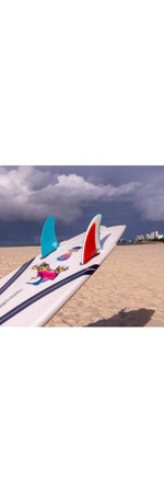 FCS II / MR Freeride Twin Fin